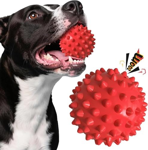 Durable Squeaky Dog Ball