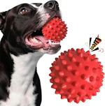 Durable Squeaky Dog Ball