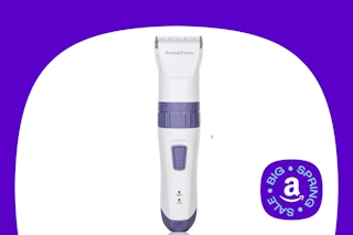 pet groomer on template