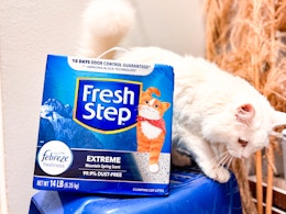 Fresh Step Cat Litter Drops as Low as $6.83 With Amazon Coupons card image