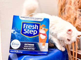 Fresh step-cat-litter-amazon