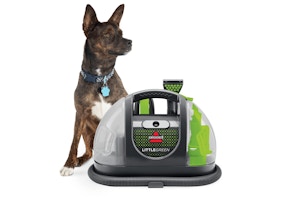 Bissell Little Green Carpet Cleaner