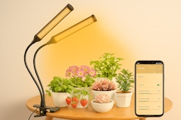 Plant Grow Light, Only $18.44 After Amazon Promo Code card image