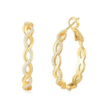 Twisted Hoop Earrings