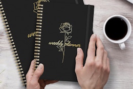 2025 Weekly and Monthly Planner, Only $4.49 on Amazon card image