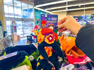 petco-halloween-clearance-dog-headpiece