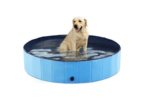 Foldable Dog Pool