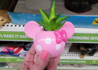 dollar general minnie mouse succulent 2022 sv 1652207877 1652207877