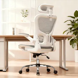 Ergonomic Mesh Office Chair