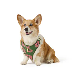 Green Floral Adjustable Dog Harness