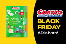 Costco's Black Friday Ad Just Dropped — And We've Picked the Hottest Deals card image