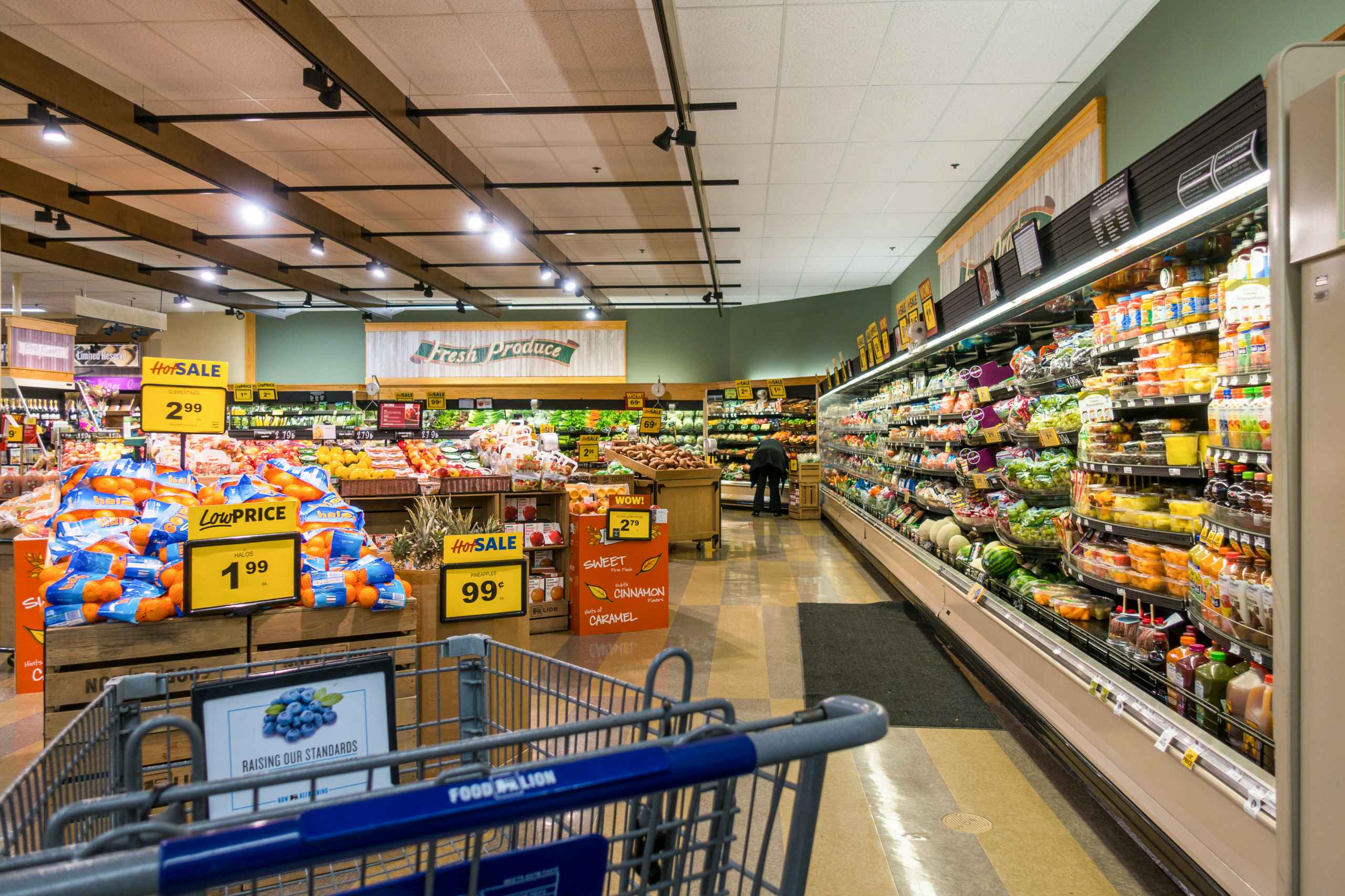 food-lion-grpcery-store-produce-section-cart-dreamstime-id107207466