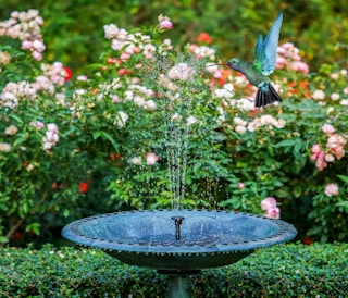 a bird fountain in a garden