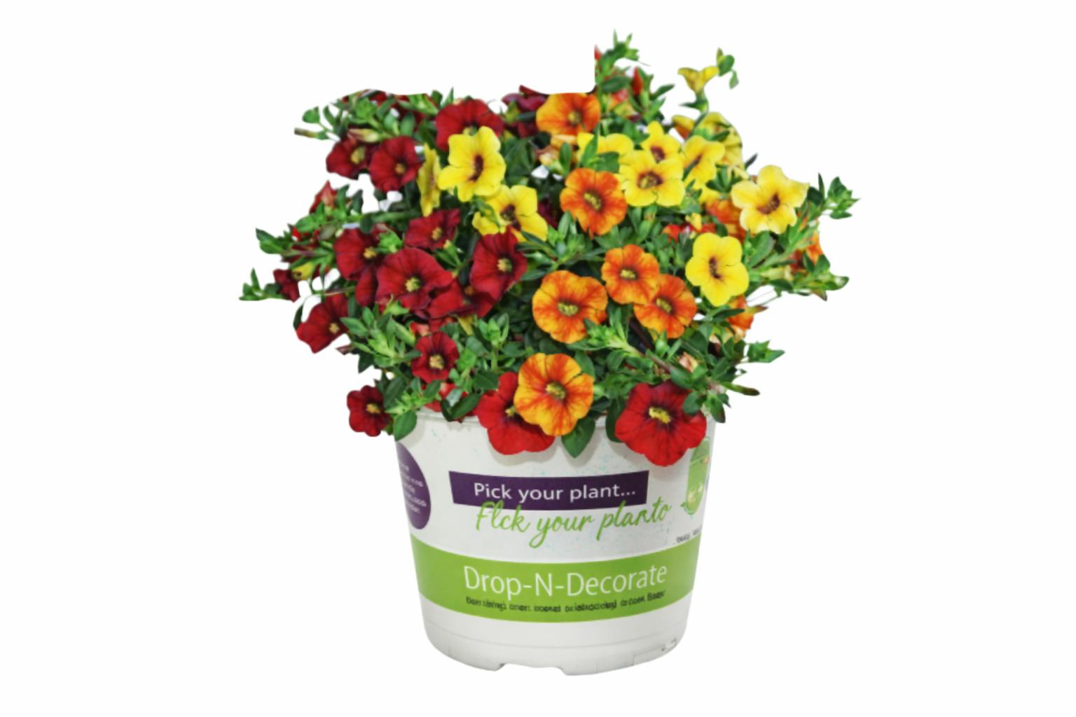 Drop-N-Decorate Flowers