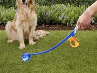 nerf dog toy 2022 1 1651338097 1651338097