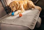 MontVoo Pet Mat