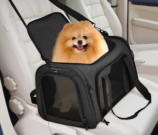 screen shot 2023 05 30 at 75341 am 1685451244 1685451244