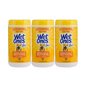 Wet Ones Dog Wipes 3-Pack