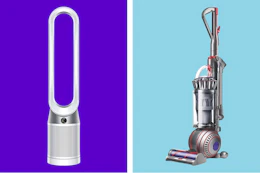 Dyson fan and ball vacuum