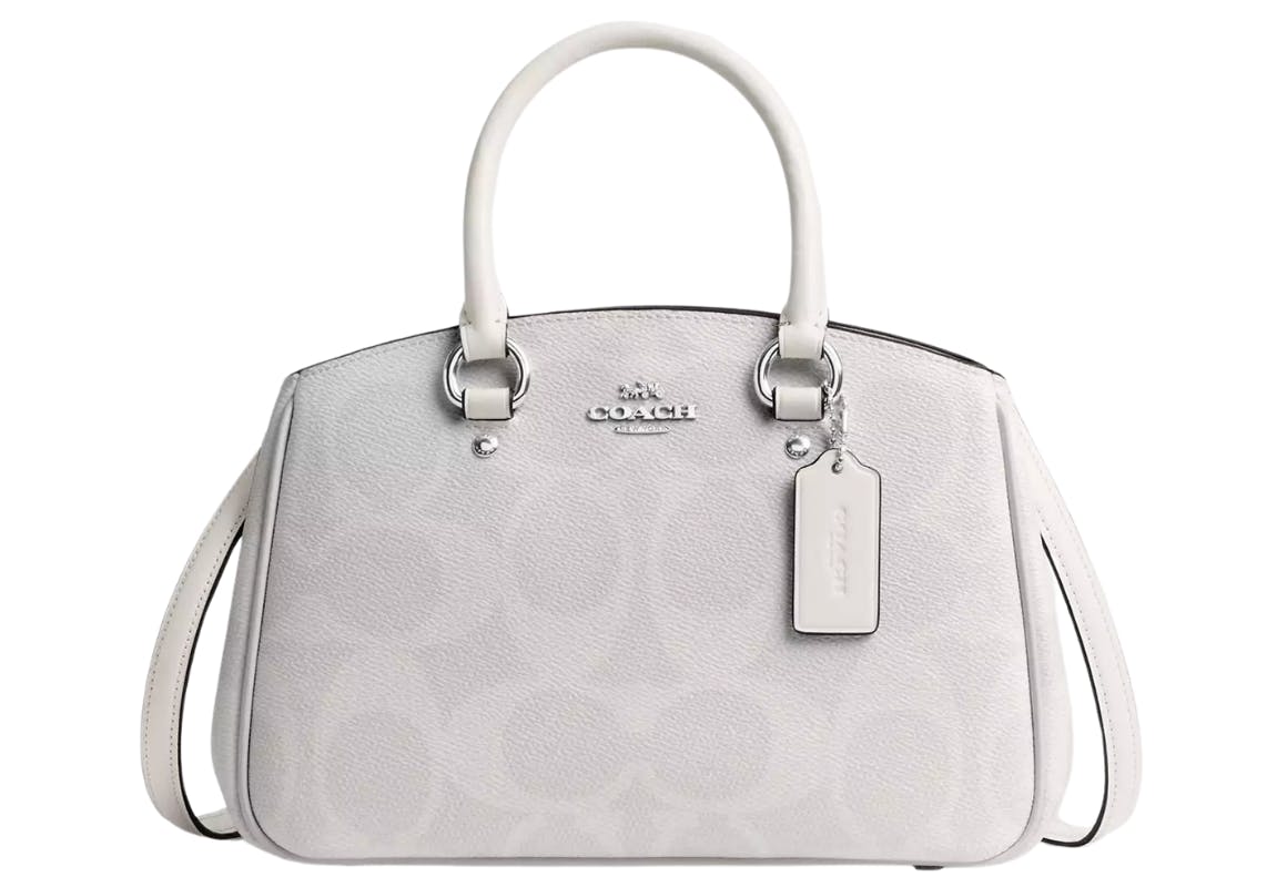 Coach Carryall Bag