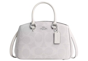 Coach Carryall Bag