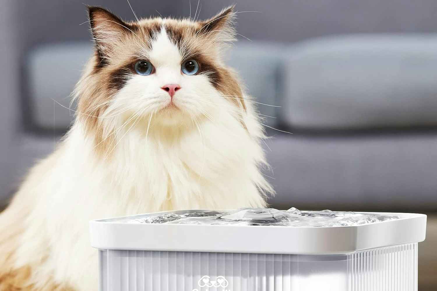 Cat Water Fountain, Only $7.99 on Amazon (Save 80%)
