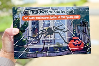 a spider web decoration with a giant spider outside 