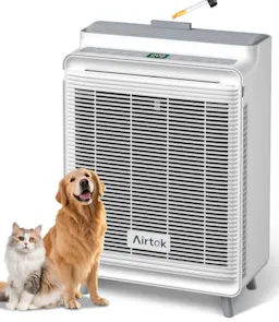Pet Air Purifier