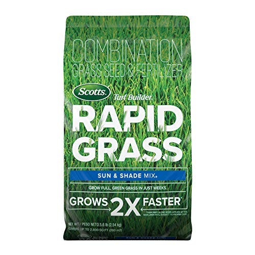 Scotts Turf Builder Rapid Grass