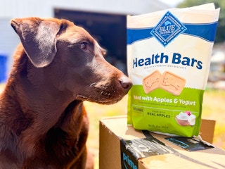 blue buffalo dog treats on box