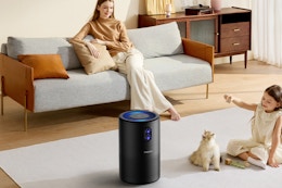 Large Room Air Purifier, Under $35 on Amazon card image