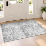 Washable Entry Rug