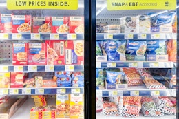 area shot of dollar general freezer section