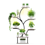 Indoor Plant Stand with LED Light