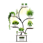 Indoor Plant Stand with LED Light