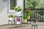 plant stands on a porch