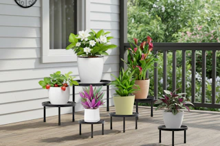 plant stands on a porch