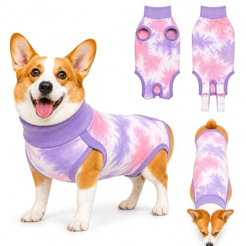 Dog Recovery Suit