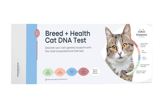 Basepaws Cat DNA Test Kit, $85 on Amazon (Reg. $159) card image
