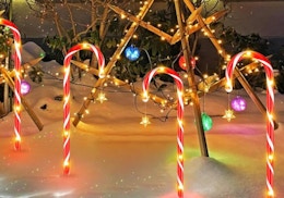 candy cane lights in a yard