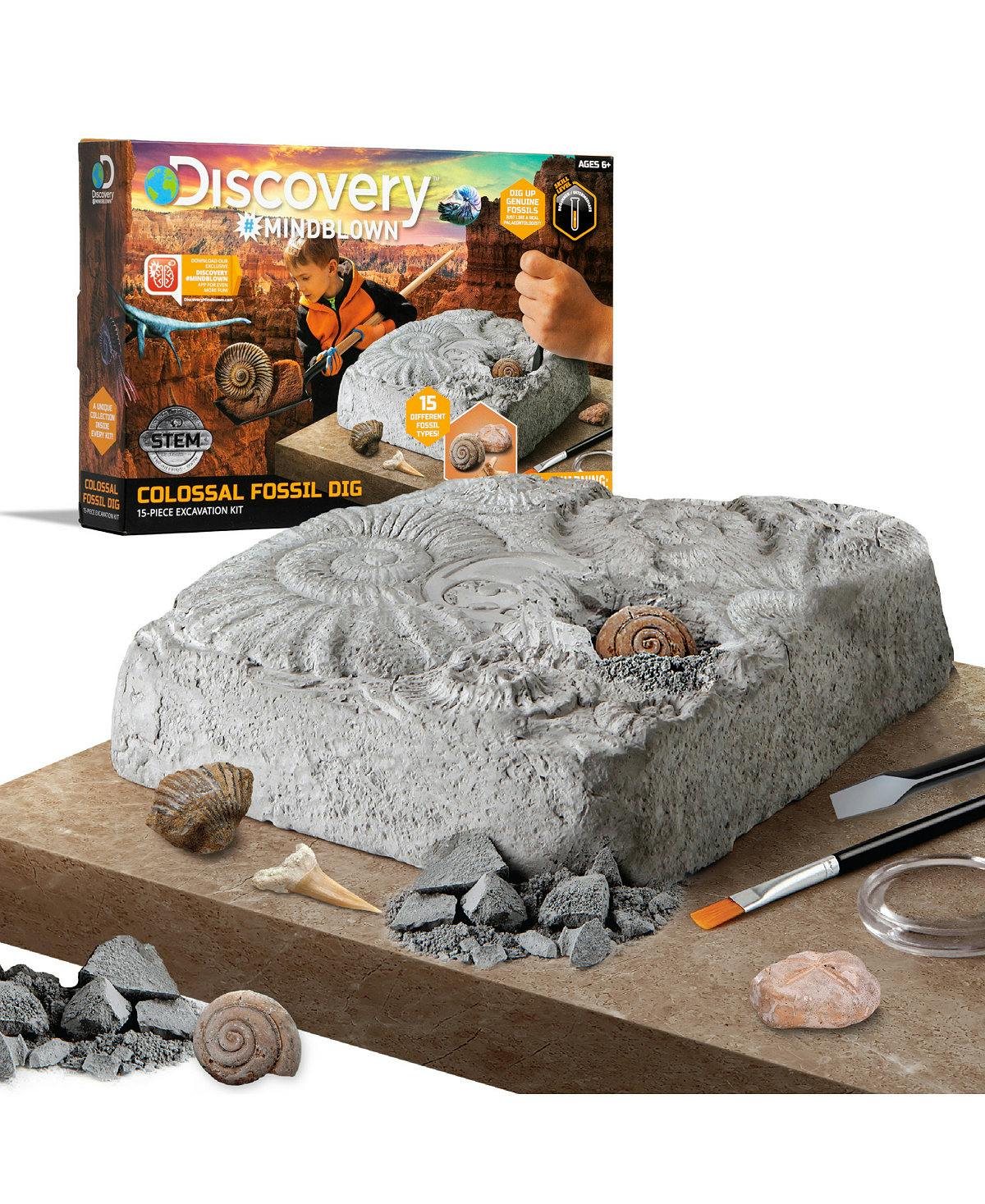 Discovery Fossil Dig Set