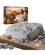 Discovery Fossil Dig Set