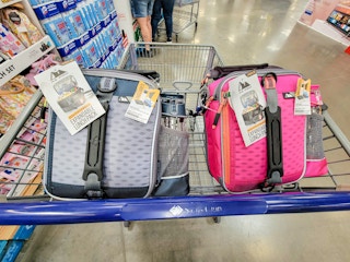 2 lunch boxes in a cart, the left one is grey, right is pink