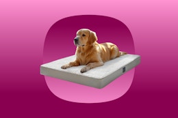 Get 50% Off Plush Flannel Dog Beds on Amazon — As Low as $16.50 card image