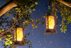 Solar Lanterns 2-Pack B0GFVGXYLN