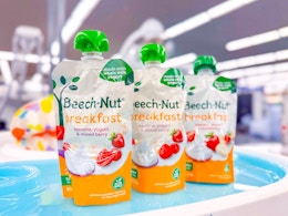 beech nut baby food walmart