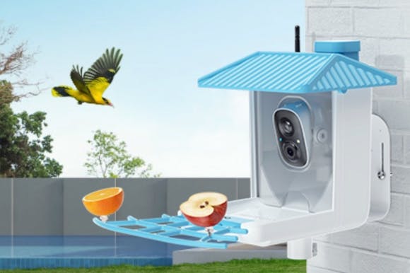 Smart Bird Feeder With Camera, Just $29.99 After Amazon Promo Code