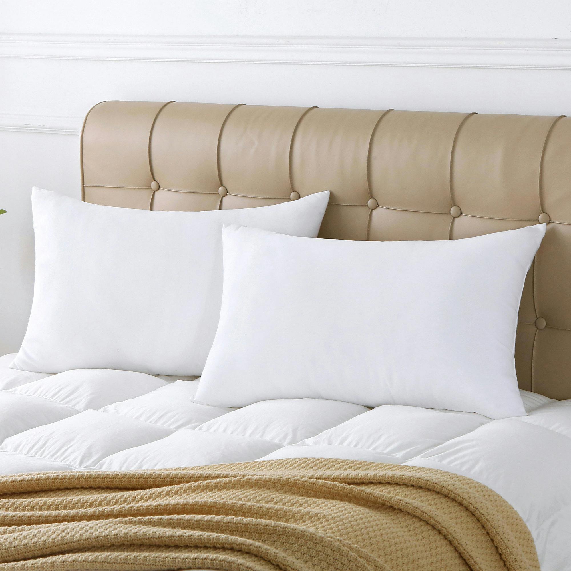 Wayfair Pillow 2-Pack