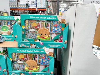 squishmallows activity set