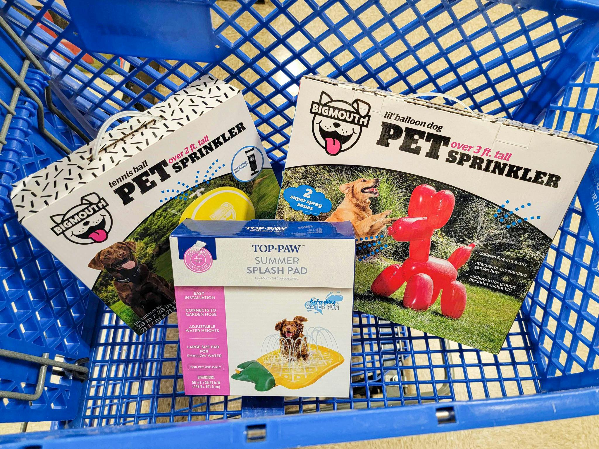 Dog Splash Pad Petsmart edu.svet.gob.gt